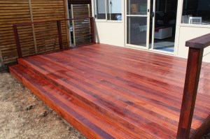 10834843_10202096781460389_1947627263_o (800x533)